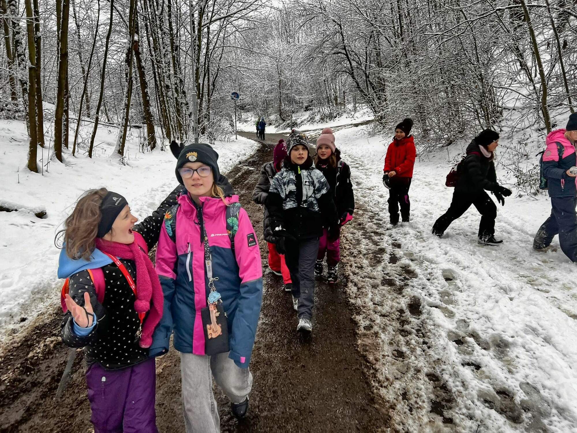 Turisťák - Jánský kopeček + kavárna BUDÍK Turisťák - Jánský kopeček + kavárna BUDÍK